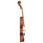 Violin Model A