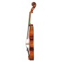 Violin Model A