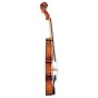 Violin Model B