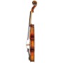 Violin Model D