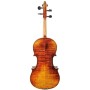 Violin Model D