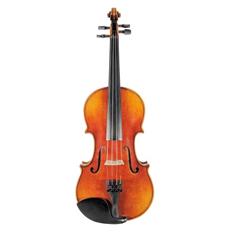 Violin Model D