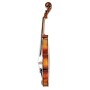 Violin Model C