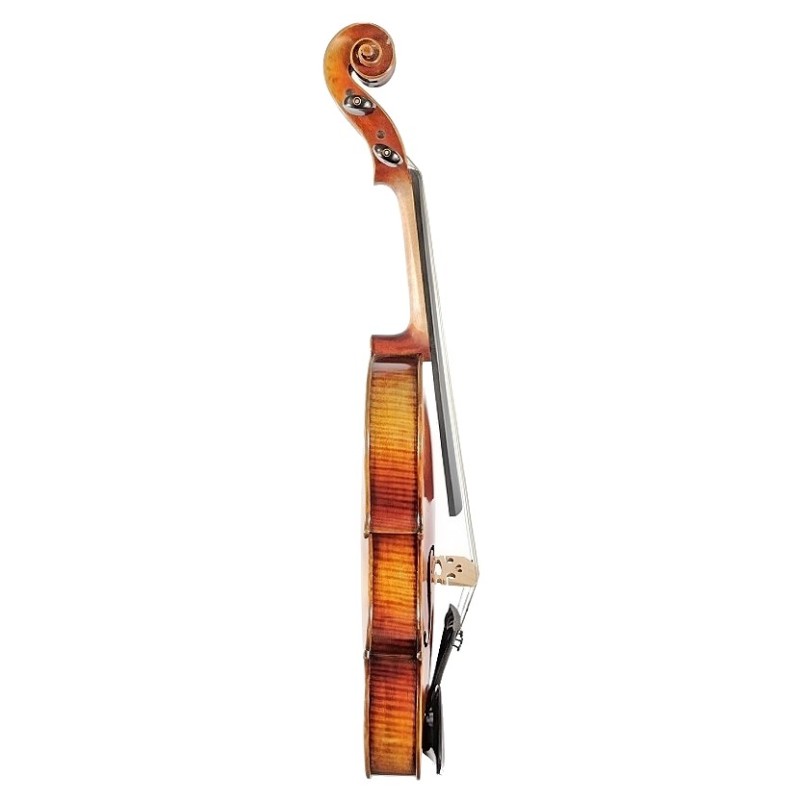 Viola Model B