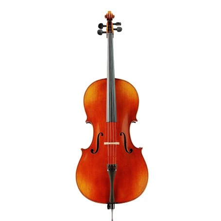 Cello Model D