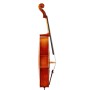 Cello Model D