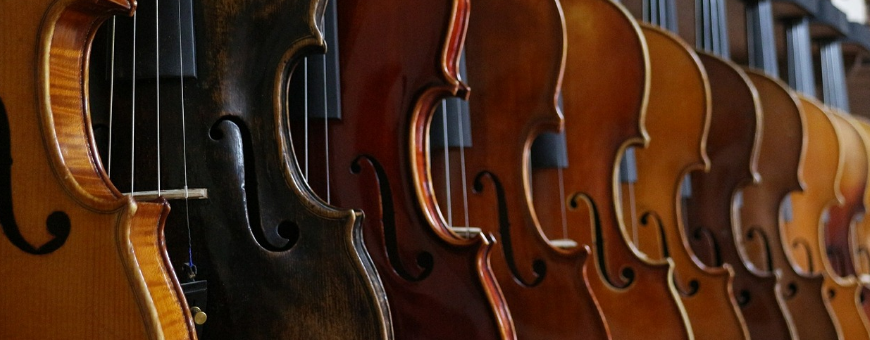 Violin
